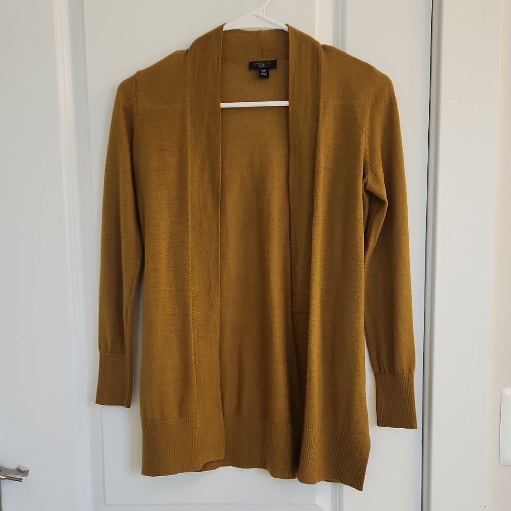 Ann Taylor Golden Amber Fall Light Weight Open Front Long Cardigan XXSP